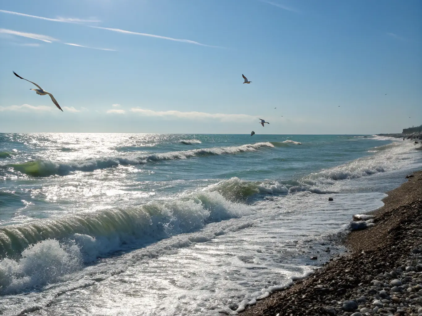 A serene image of a protected coastal area with diverse bird species, emphasizing the importance of species protection efforts.